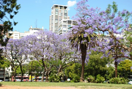 Buenos Aires im Frühling 2