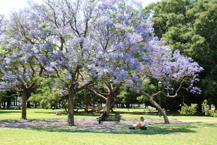 Buenos Aires im Frühling 3